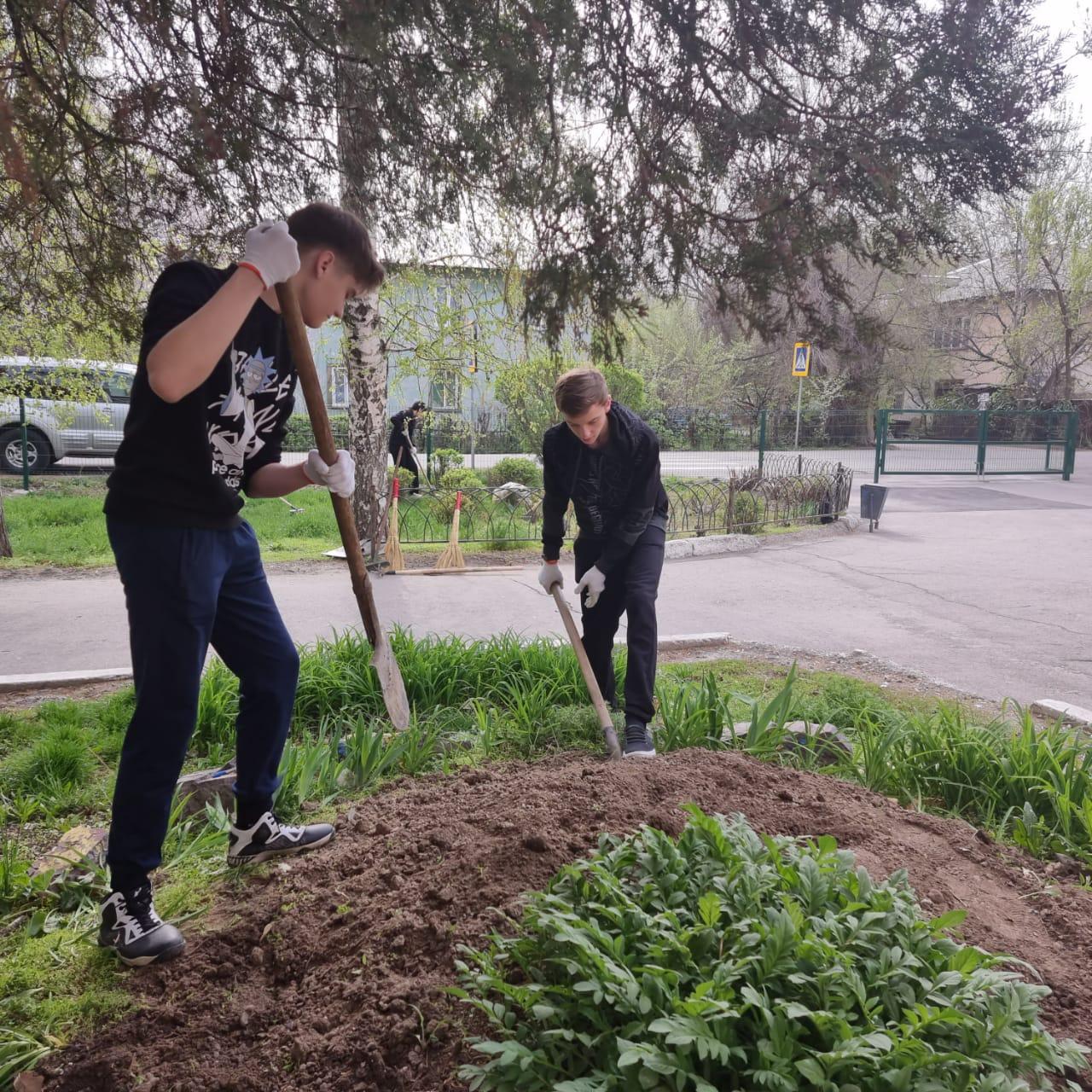 Аумақты көгалдандыру. Озеленение территории